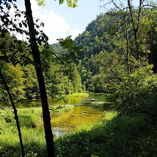 Doubs(16) 20180707_122638