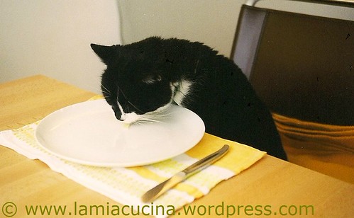Zorro am Katerfrühstück_redc