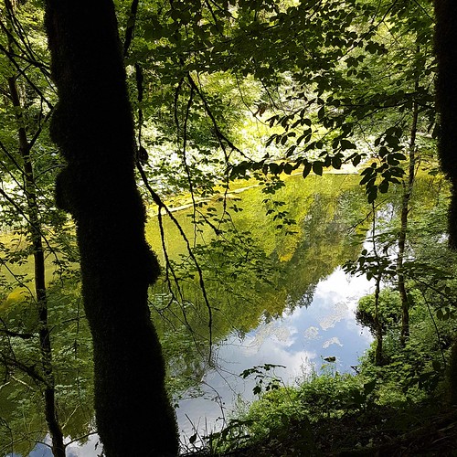 Doubs(18) 20180724_121935