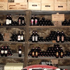 Gaja & Co.