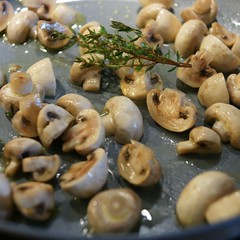 Veau Marengo 4_2009 06 28_0985