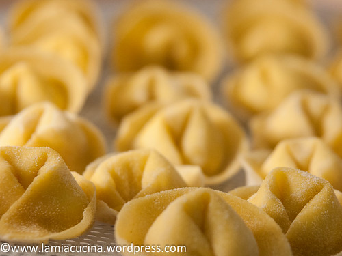 Tortellini mit Fonduta, Marroni und Trüffel 2013 11 14_2265