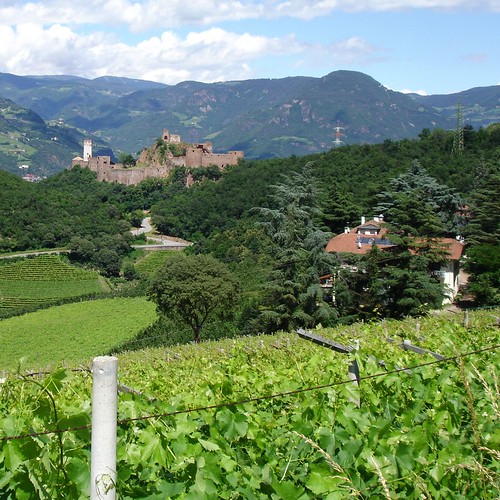 Weinberge bei Girlan mit Blick auf Burg Sigmundskron