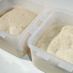 Teig in Gärkästen 