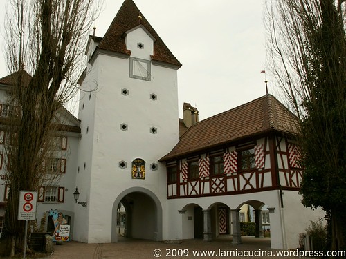CH 6210 Sursee 0_2009 03 12_8984