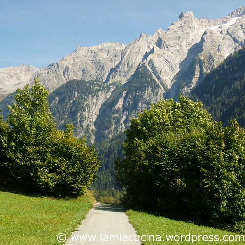 Val Bregaglia 10_2010 09 04_9413