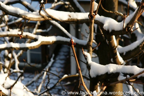 Winter 1_2010 12 02_0982