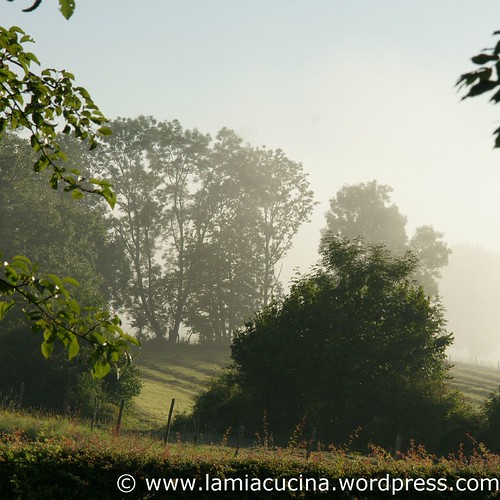 Landleben 2_2011 08 01_5243