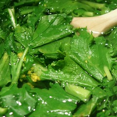 Cima di rapa, tief unten die pasta