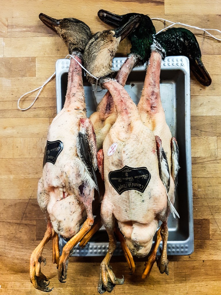 2017-11 Menu