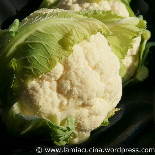 Blumenkohl-Bolognese 0_2010 12 04_1061