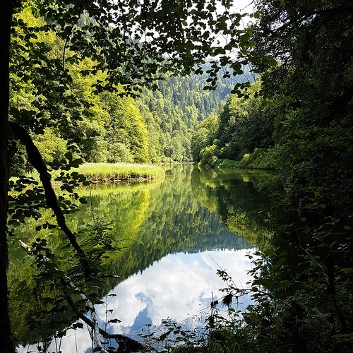 Doubs(16) 20180707_154533