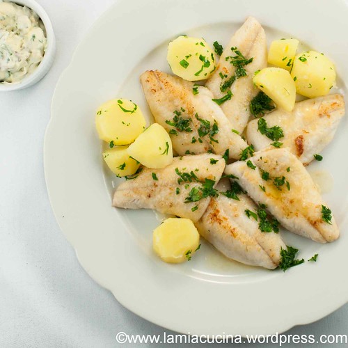 Eglifilets 0_2013 15 Feb_9608