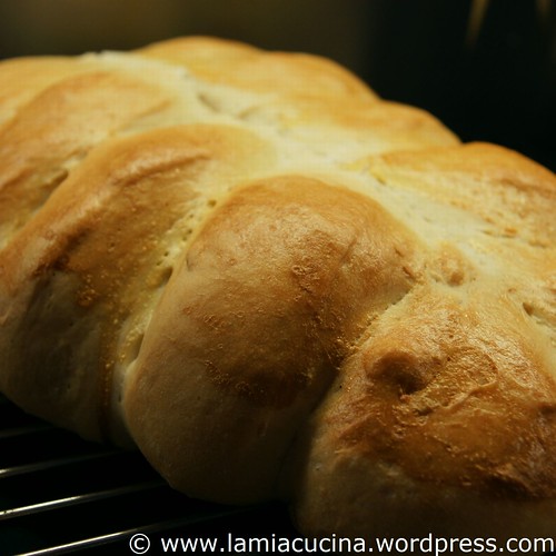 Tessinerbrot 0_2010 10 01_0087
