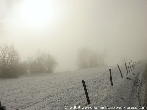 ImJura 0_2009 01 15_7687