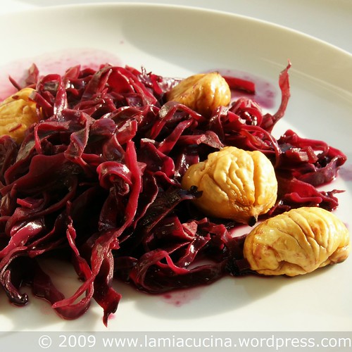 Rotkraut mit Marroni 0_2009 01 04_7536