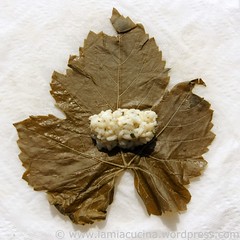 Dolmades 1_2010 04 18_6422