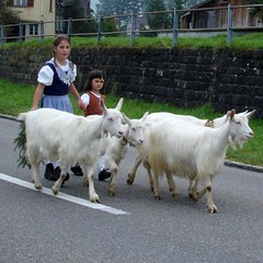 Antreiberinnen