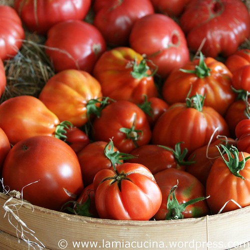 Hämiker Tomaten 2_2011 08 05_5340