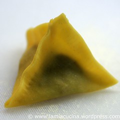 Ravioli a tetraedro 5_2010 02 14_5253