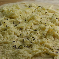 Pizza all'ortolana 1_2009 08 01_1813