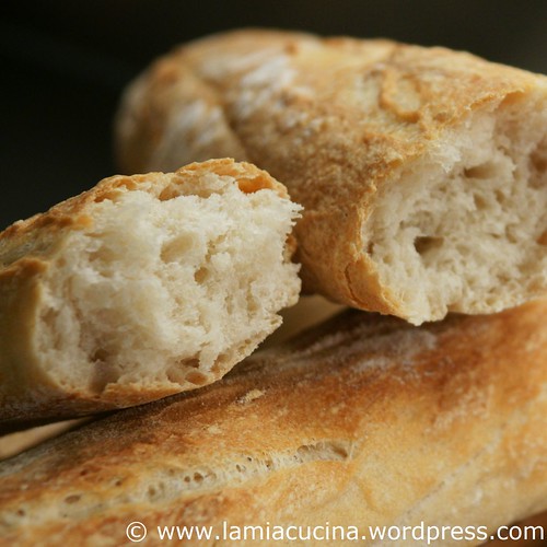 Baguette 1_2010 04 02_6185