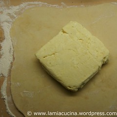 Blätterteig 2_2010 06 06_7485