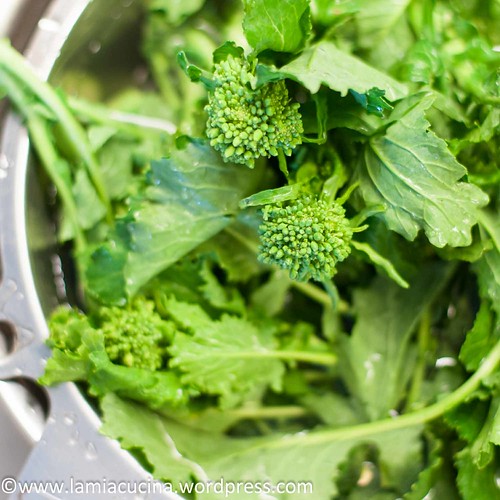 Orecchiete mit Cima di Rapa 2015 02 13_7046