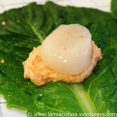 Laubfrösche 1_2009 06 15_0774