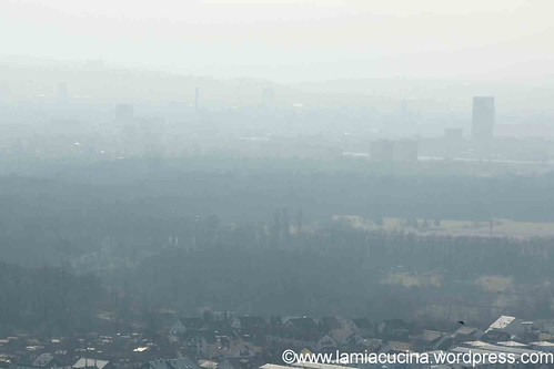 Riesling-Sylvaner 5_2012 03 01_3271