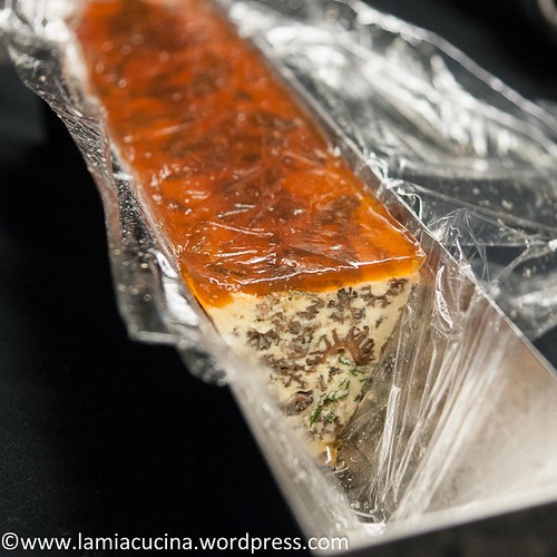 Morchelterrine 2014 10 19_6136