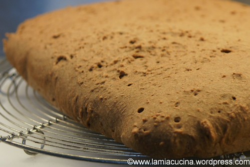 Magenbrot 1_2011 10 11_0406