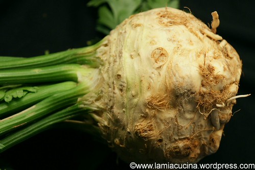Selleriecremesuppe 1_2011 10 10_0380