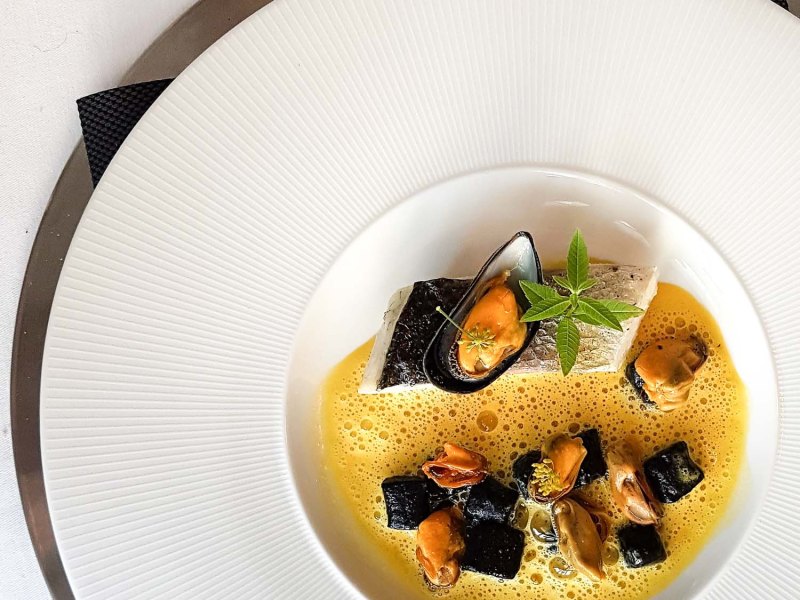 Loup de mer, Vongole, Safranschaum