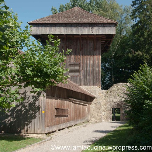 CH-8253 Diessenhofen 2013 08 05_1268