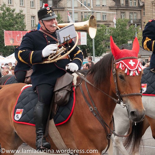 Basel Tattoo 2014 2014 07 26_4994