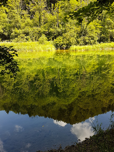 Doubs(16) 20180707_154626