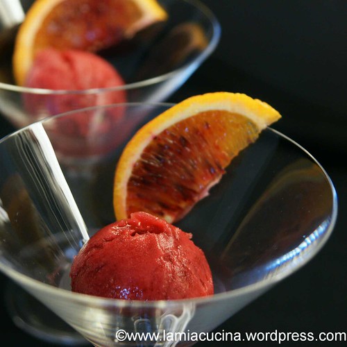 Blutorangensorbet 0_2012 03 17_3663