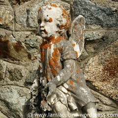 Engel 16_2009 09 09_2487