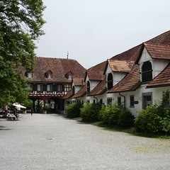 warth4_2008_2642