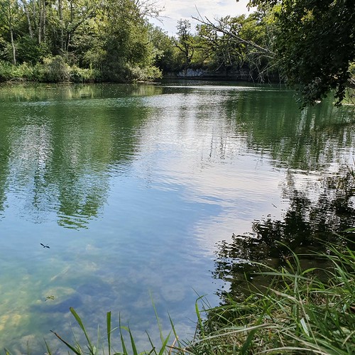 Doubs(26) 20190809_155021