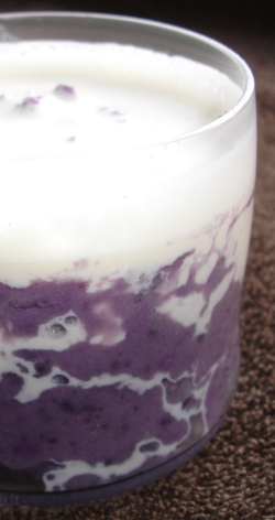 Kartoffelpuree mit Rosmarinmilchschaum