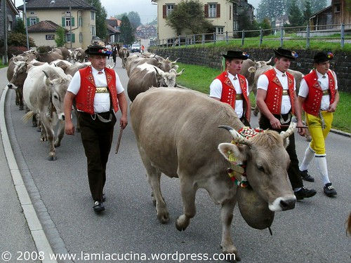 Zusenn, 3 Bauern, Schellenkuh
