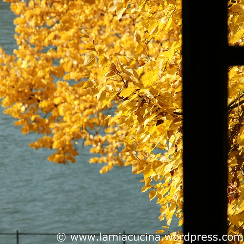 Indian Summer 09 0_2009 10 29_3317