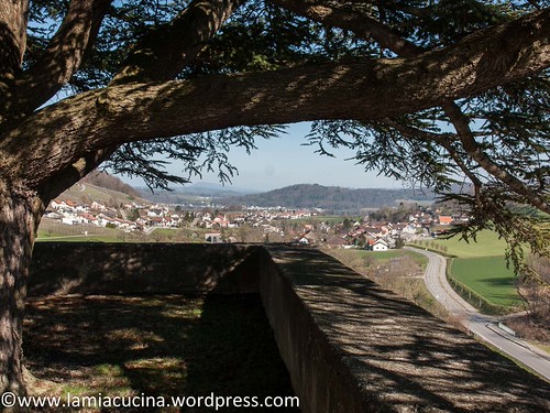 CH-5108 Schloss Kasteln 2016 03 10_0422