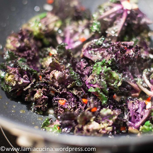 Flower Sprouts mit Ravioli 2015 02 11_7028