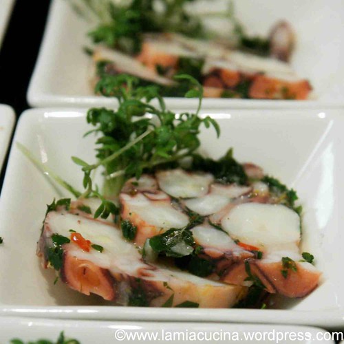 Pulpoterrine 0_2012 02 04_2765