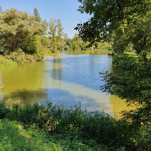 Doubs(23) 20190823_105108