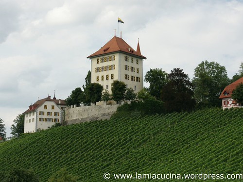CH-6284 Gelfingen Schloss Heidegg 0_2010 08 11_8778