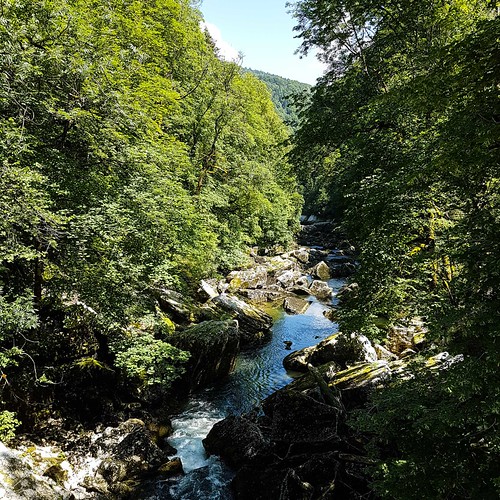 Doubs(16) 20180707_115936